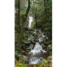Waterfall at the Paluma Range, 2019. 