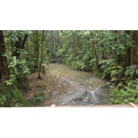 Flowing creek at the Paluma Range, 2019.
