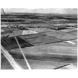 Canefields on the Burdekin Delta, 1957 or 1958, aerial view