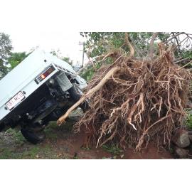 Car lifted by falling tree during Cyclone Yasi, Townsville, 3rd February 2011