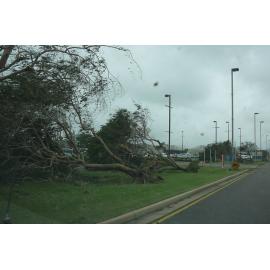 Uprooted trees at the airport in the aftermath of Cyclone Yasi, Townsville, 3 February 2011