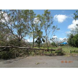 Fallen trees and damaged shade structure in the aftermath of Cyclone Yasi, Townsville, 5th February 2011