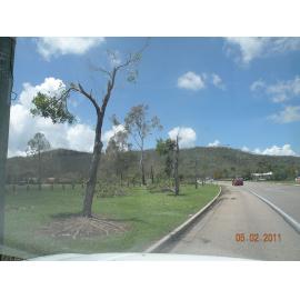 Damaged trees in the aftermath of Cyclone Yasi, Townsville, 5th February 2011