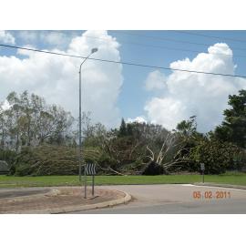 Uprooted trees in the aftermath of Cyclone Yasi, Townsville, 5th February 2011