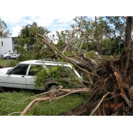 Car damaged by fallen tree in the aftermath of Cyclone Yasi, Townsville, 5th February 2011