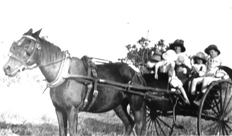 Anne Kelso driving her children, Ethel, Ruth and Arthur Kelso, to school in wagonette, ca 1920.

Photographer Unknown